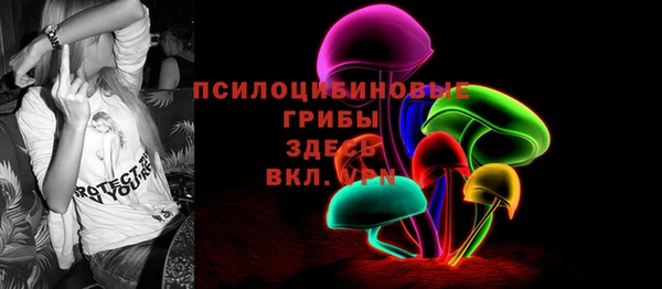 хмурый Осташков