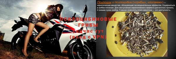 амф Переславль-Залесский
