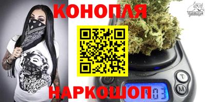 ECSTASY Гатчина
