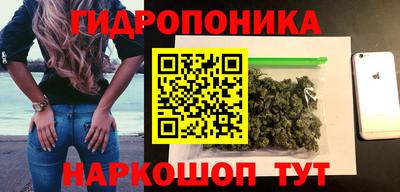 ECSTASY Гатчина