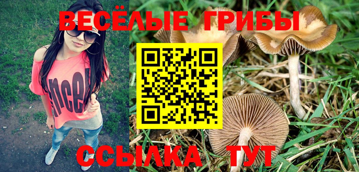 Псилоцибиновые грибы MAGIC MUSHROOMS Кировск