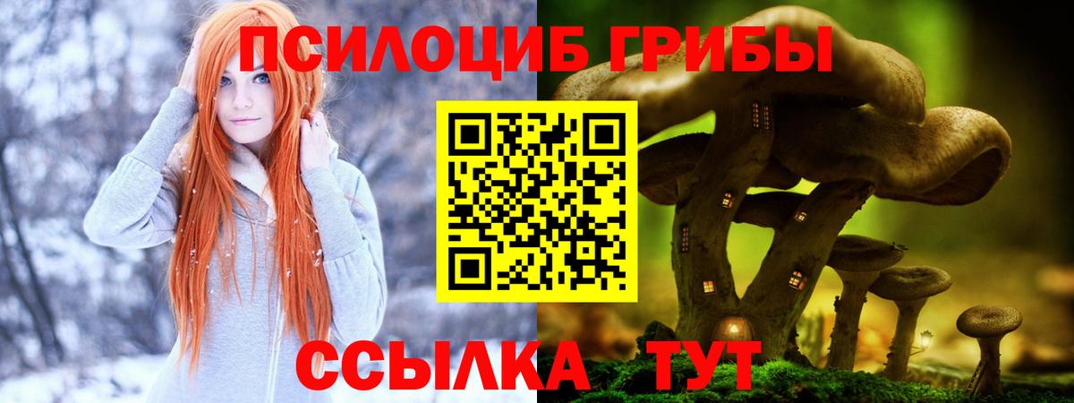 Галлюциногенные грибы мицелий  Псилоцибиновые грибы ЛСД  Вход с VPN  Кировск 